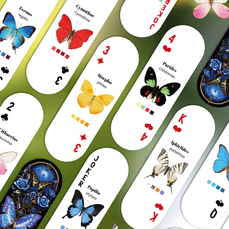 Mr.Paper Table Card Game 54/Bo – Graded Card Display Bewertung und Preis
